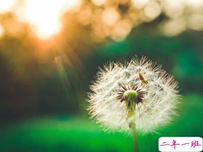 爱情说说心情短语