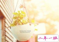 很贱的QQ说说：世上有两种东西会趴玻璃，一个是壁虎一个是班主任