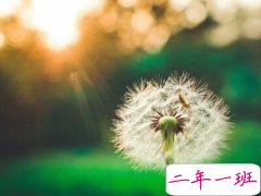 爱情说说心情短语:你不喜欢的我都消退,你爱的细节我都翻倍