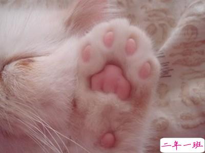 搞笑个性说说：寒假作业我们分手吧，我想我们真的不合适1