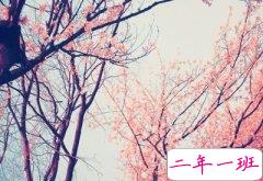 笑死人的句子:知道你过得不好,我也就安心了