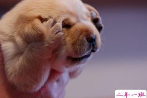 最搞笑说说:成熟的好处是,以前得不到的现在不想要了