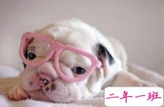 超搞笑说说：像你这么优雅的人，平时都不拉屎吧！