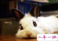 幽默的QQ心情：要不是打不过你，早就跟你翻脸了