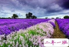 有意思的句子：考试真是so esay，哪里不会考哪里