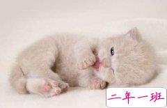 搞笑的心情短语：女人是麻烦，男人就喜欢自找麻烦