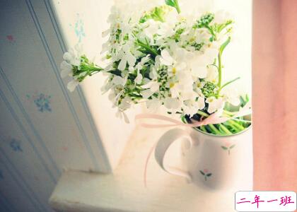 感悟爱情的说说