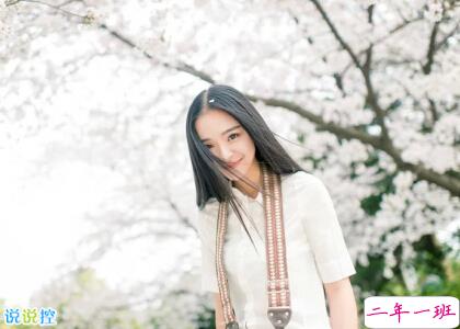 文艺的爱情说说