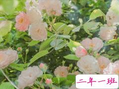 立春励志早安心情说说 立春正能量语录