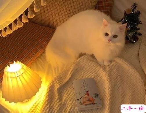 能够上抖音热门的文案 吸引人点击的抖音文案1