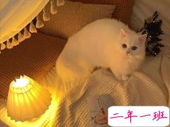 能够上抖音热门的文案 吸引人点击的抖音文案