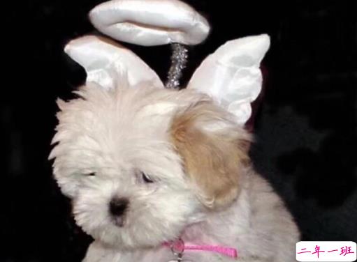 一眼就很惊艳的微信状态句子 好听到爆的微信状态说说2