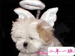 一眼就很惊艳的微信状态句子 好听到爆的微信状态说说