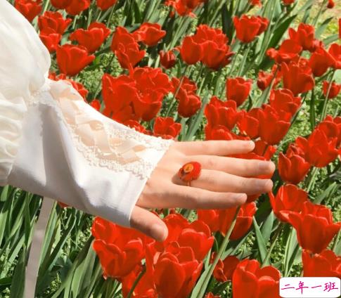 一组前程似锦未来可期的句子 希君生羽翼一化北溟鱼1