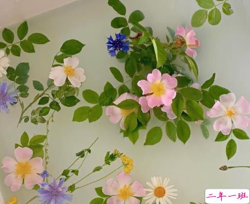 一组前程似锦未来可期的句子 希君生羽翼一化北溟鱼2