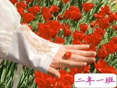 一组前程似锦未来可期的句子 希君生羽翼一化北溟鱼