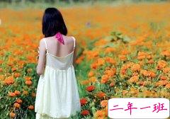 最新爱情QQ说说:我奋不顾身爱的人,最后都成了别人的爱人