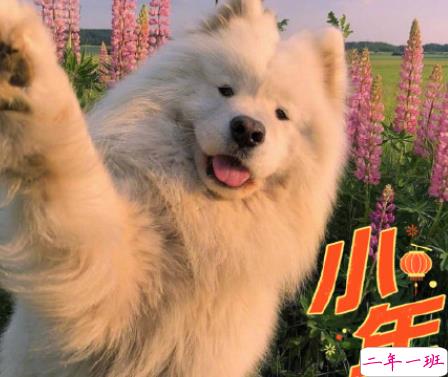 腊月二十四南方小年祝福语 南方小年夜暖心句子大全2