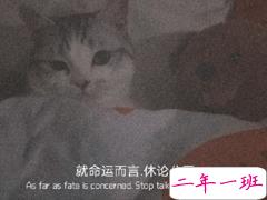 一听就让你觉得意难平的文案 温柔到让人心疼的说说