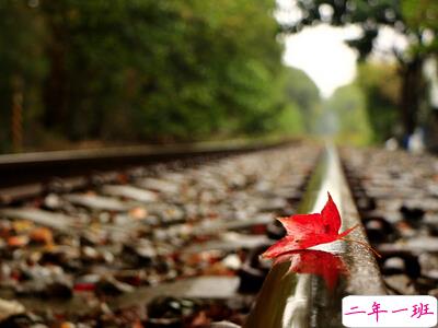 2015爱情说说大全1