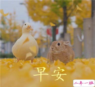 2021最新早安心情说说大全 2021让人充满正能量的早安说说1