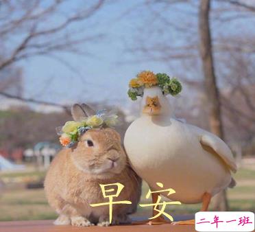 2021最新早安心情说说大全 2021让人充满正能量的早安说说2