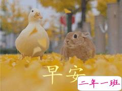 2021最新早安心情说说大全 2021让人充满正能量的早安说说