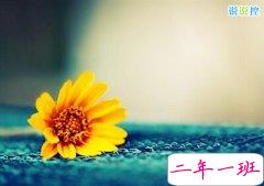 霸气的爱情语录:你要是敢视我为游戏,我就敢开挂虐死你