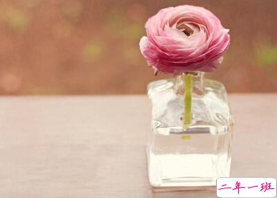 表达爱的句子大全1