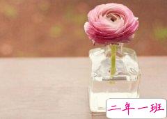 表达爱的句子大全：我从没有亏待过自己，却不介意为你受委屈