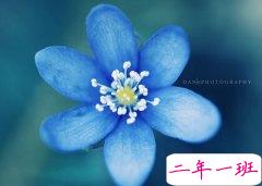 唯美爱情语录:什么事都别等到上瘾了才知道开始戒,比如说爱你