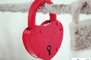 经典的情感说说：道理我都懂，但是能安慰我的不是道理，是你