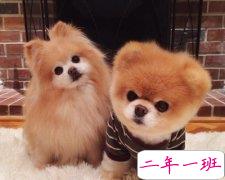 好听的爱情说说：总有一天，会过上我一翻身就可以偷亲你的日子