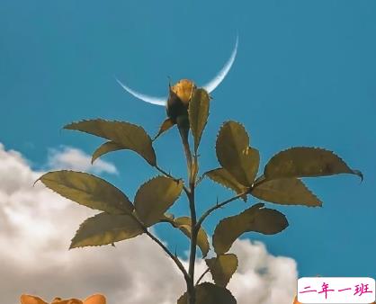 2021关于情绪的高级情绪文案  很A很激烈的情绪说说1