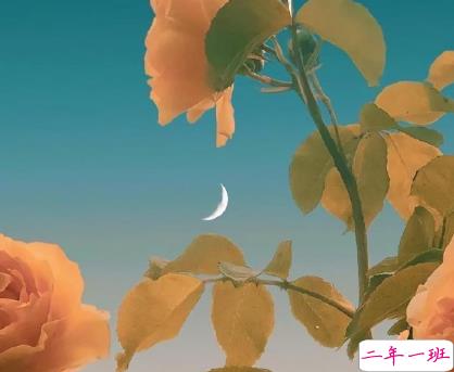 2021关于情绪的高级情绪文案  很A很激烈的情绪说说2