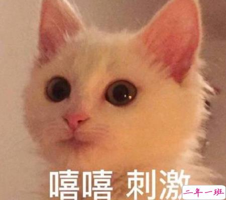 2020只剩40天朋友圈心情说说 迎接2021的心情说说1