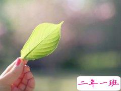 经典感情说说：我若在你心上，情敌三千又何妨