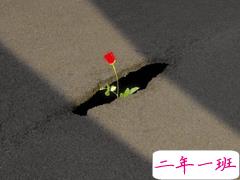 2020重阳节的早安语录 精力充沛沸阳阳