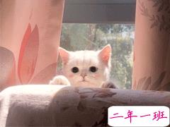 九九重阳节幸福文案 九九重阳幸福久久