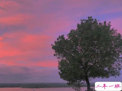 2020霜降早安个性祝福语录 隆下一场好运霜2