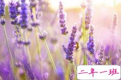 关于爱情的短句：一辈子只爱一个人，并不丢人