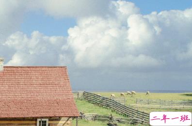 秋天第一个柚子文案 有一起剥柚子人2