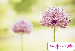 情感语录大全：最幸福的是我爱你，刚好你也爱我！