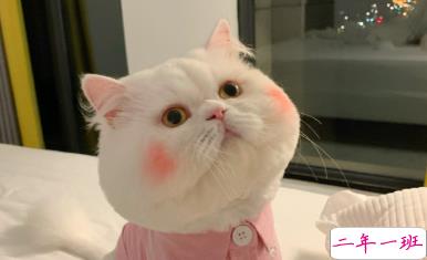 生日快乐有趣的祝福文案 要不动声色的做个大人啦1