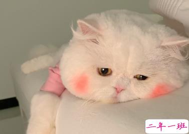 生日快乐有趣的祝福文案 要不动声色的做个大人啦2