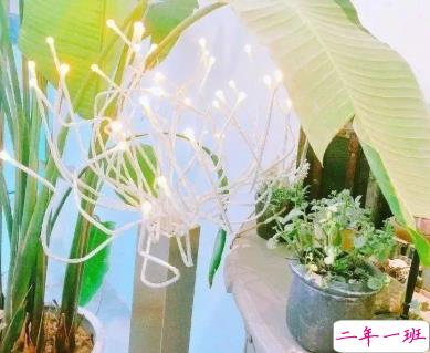 祝大家国庆假期愉快的说说 愿你国庆长假饭吃得香2