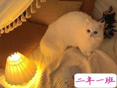 网易云热评墙个性文案 难提起更难放下