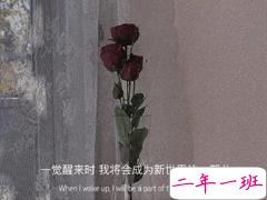 小众好听无关爱情的微信状态文案 唯美又简约的微信状态句子