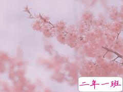 春节给领导的拜年祝福短信 除夕夜给领导的拜年贺词句子