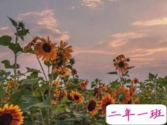 高冷又随性的一句话三观超正 生活就是一边点火一边冒烟